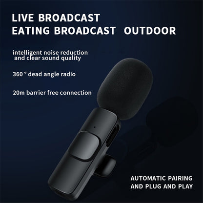OEM K1 Lavalier, USB-C, Set of 2, Black
